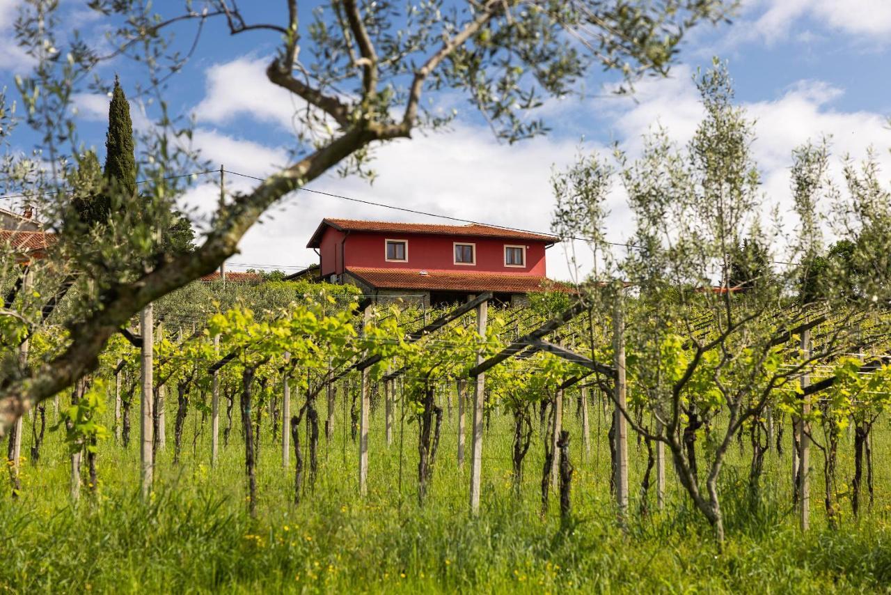 Touristfarm - Apartments "Red Fairytale" Marezige Zewnętrze zdjęcie