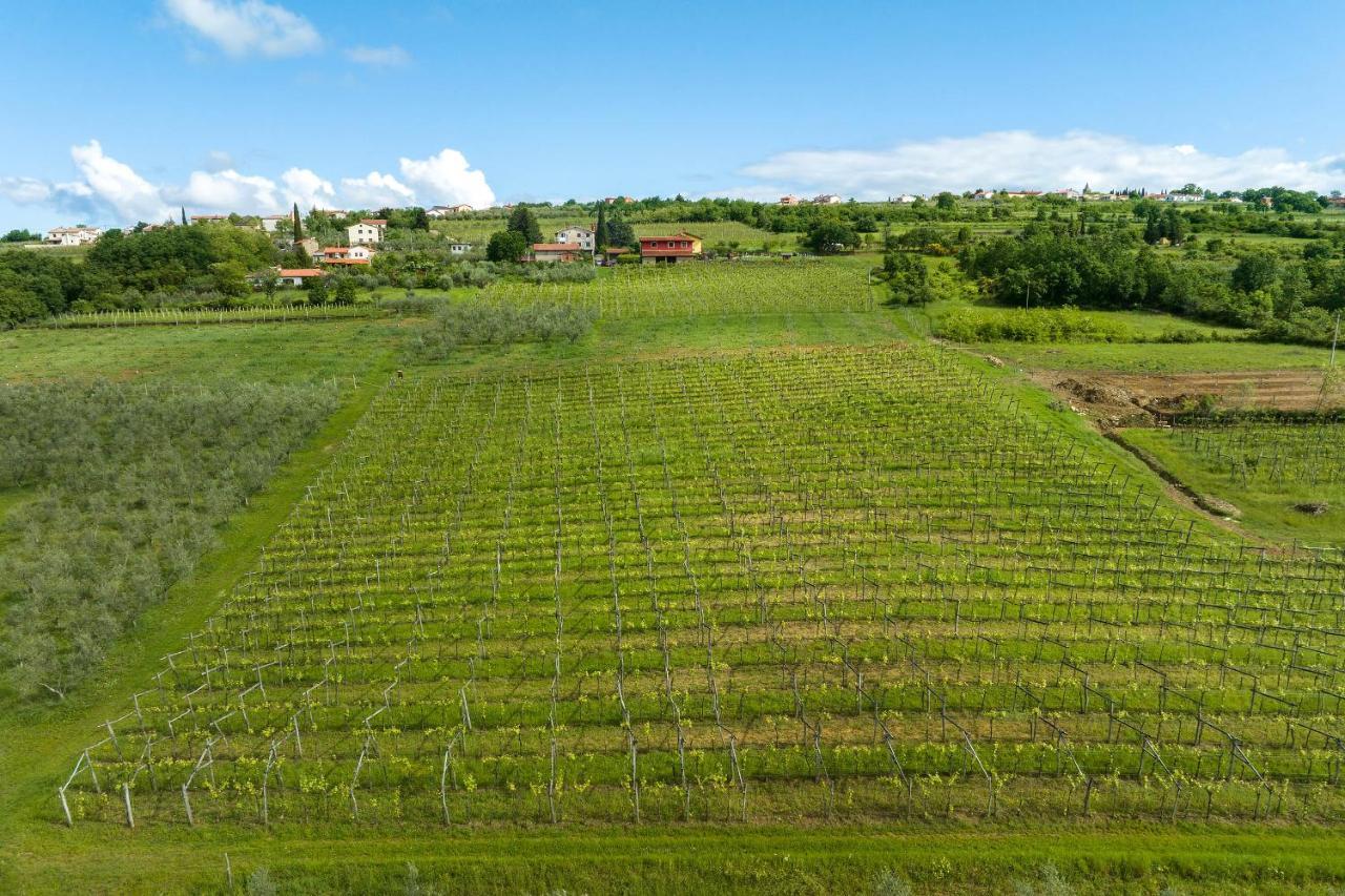 Touristfarm - Apartments "Red Fairytale" Marezige Zewnętrze zdjęcie