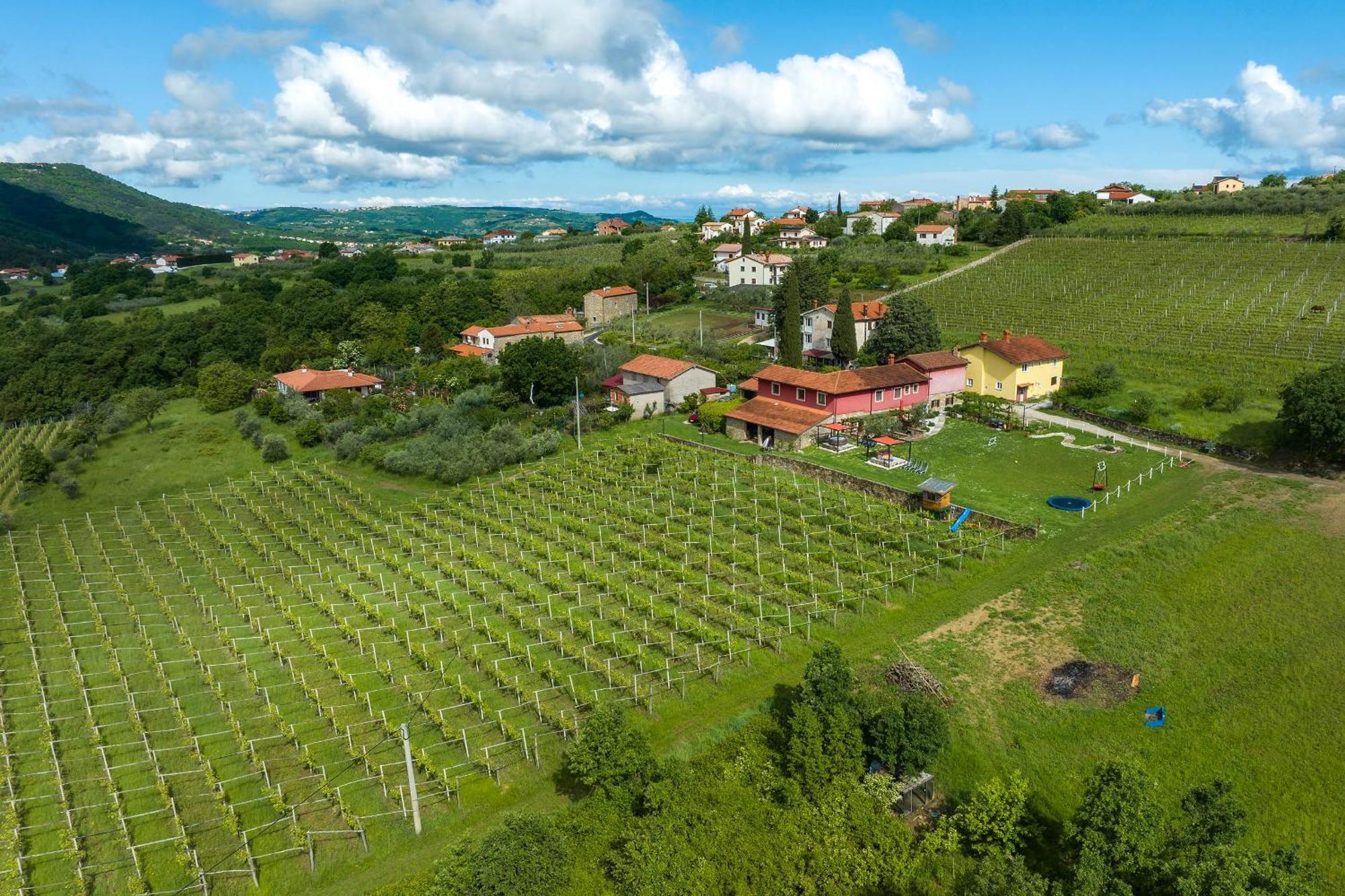 Touristfarm - Apartments "Red Fairytale" Marezige Zewnętrze zdjęcie